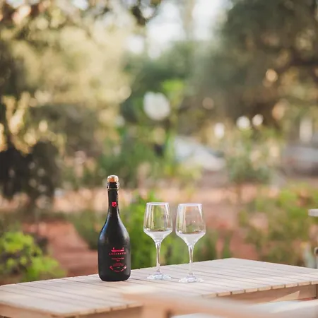 Hébergement de vacances Helichrysum Lofts Junior House J1 Khokhlastí