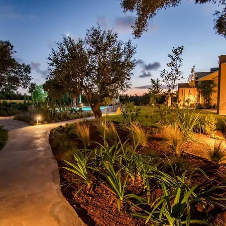 Hébergement de vacances Helichrysum Lofts Junior House J1 *