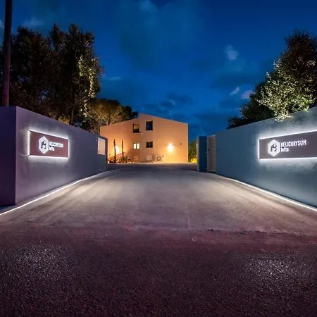 Helichrysum Lofts Junior House J1 *