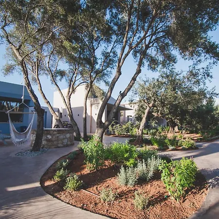 Holiday home Helichrysum Lofts Junior House J1 *
