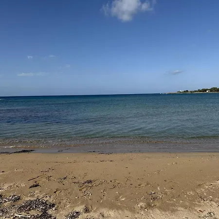 Helichrysum Lofts Junior House J1 Khokhlastí