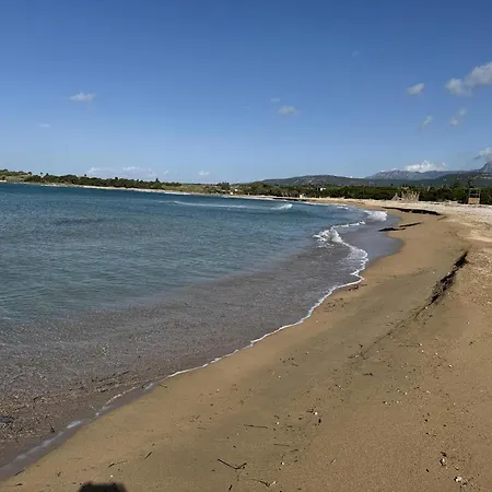 Helichrysum Lofts Junior House J1 *