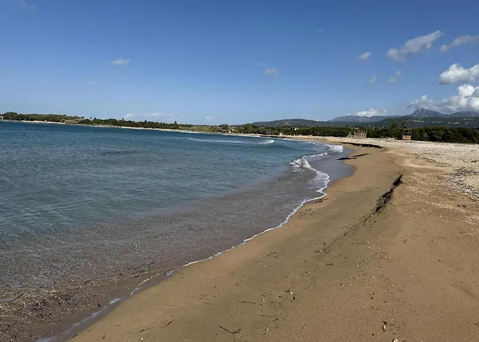 Helichrysum Lofts Junior House J1 *